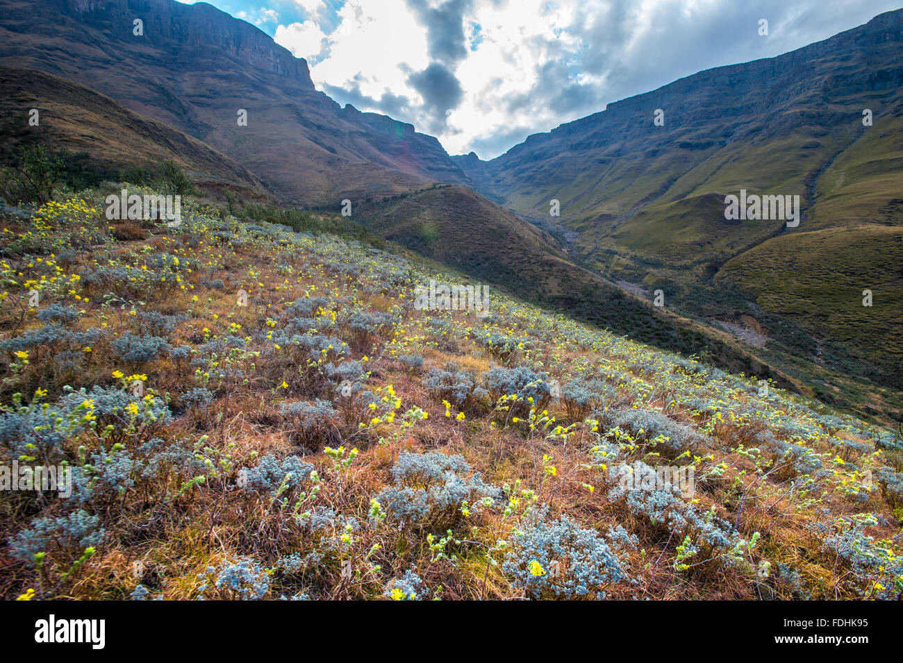 Paysage de montagnes et de ciel bleu dans la région de Sani Pass, entre l'Afrique du Sud et le Lesotho Banque D'Images