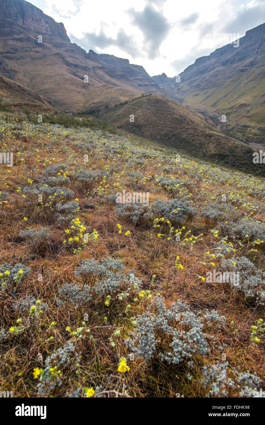 L'homme photographié le paysage de Sani Pass, entre l'Afrique du Sud et le Lesotho. Banque D'Images
