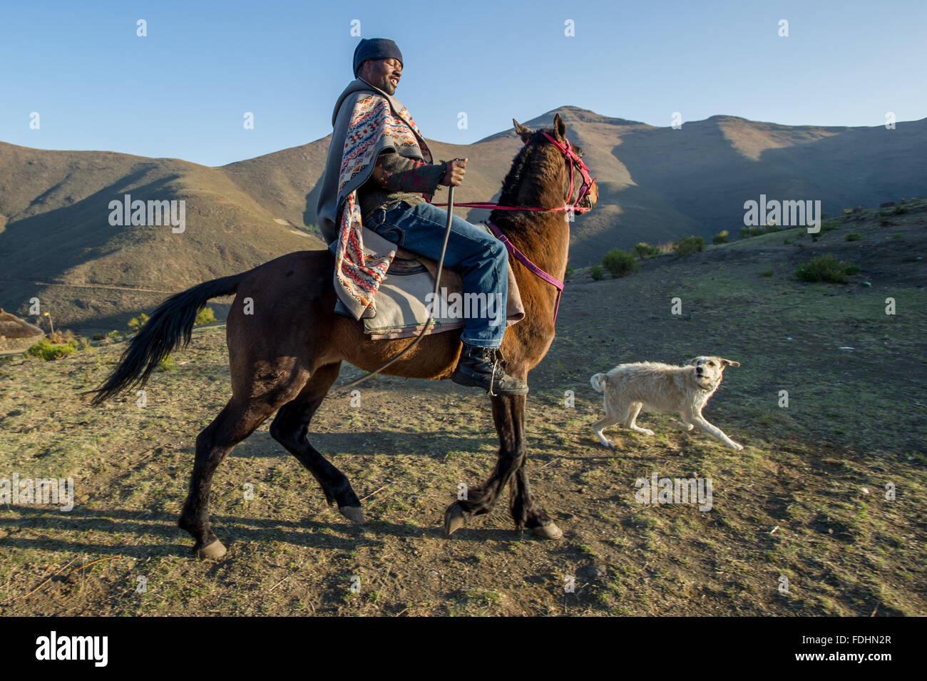 Son cheval équitation homme local avec un chien à côté de lui dans les montagnes du Lesotho, Afrique Banque D'Images