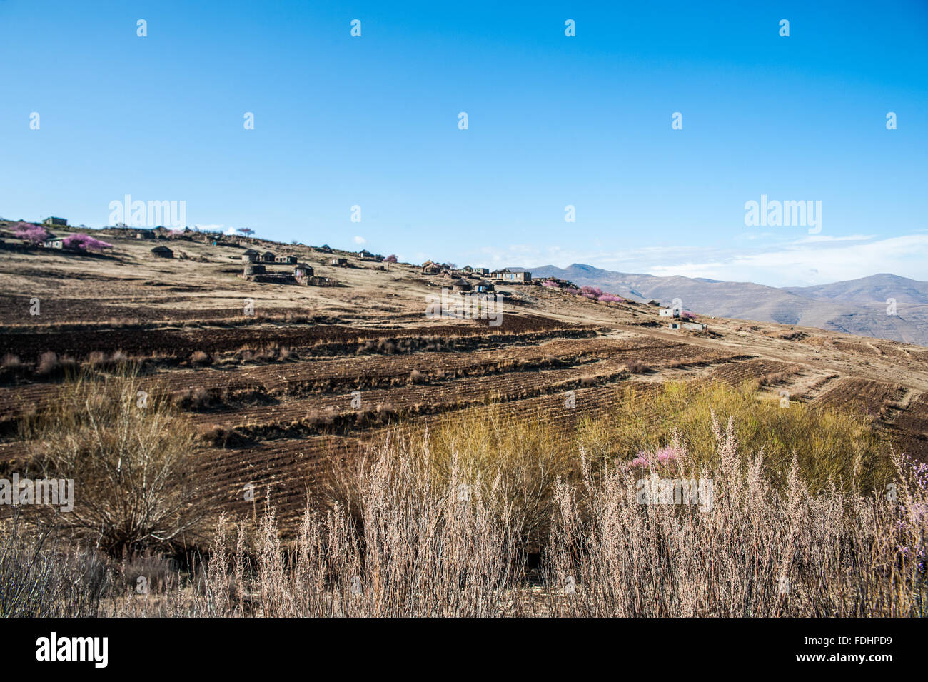 Village et des terres agricoles au Lesotho, l'Afrique Banque D'Images
