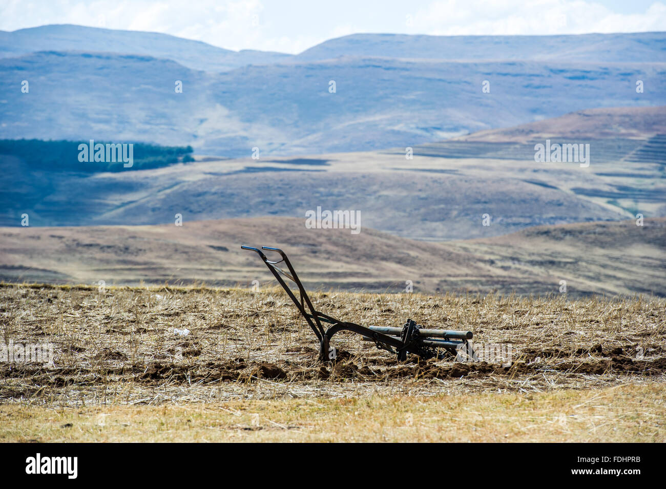 Une ferme dans un sillon de charrue sur les terres agricoles en Somenkong, Lesotho, Afrique Banque D'Images