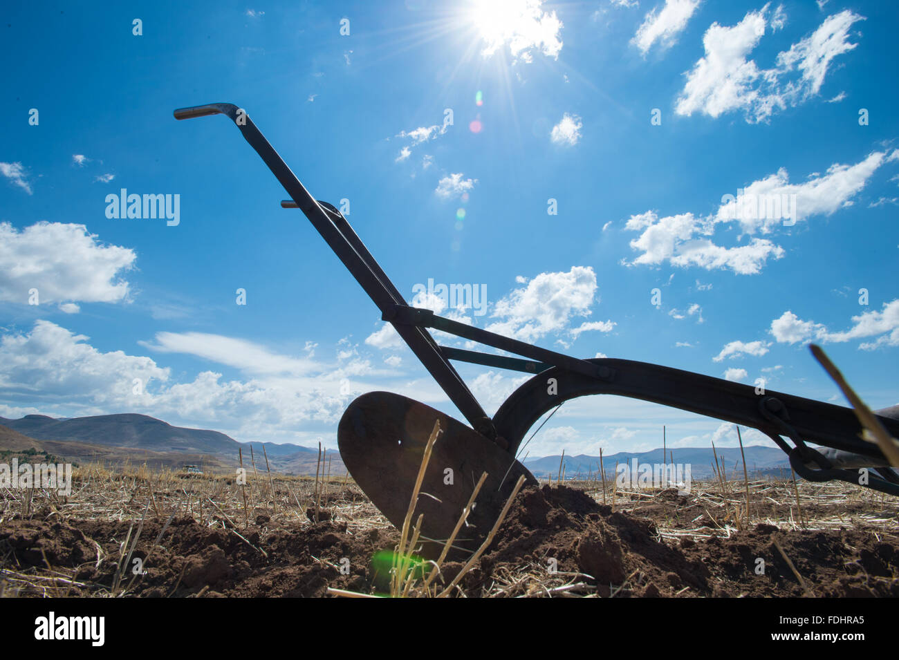 Une ferme dans un sillon de charrue sur les terres agricoles en Somenkong, Lesotho, Afrique Banque D'Images