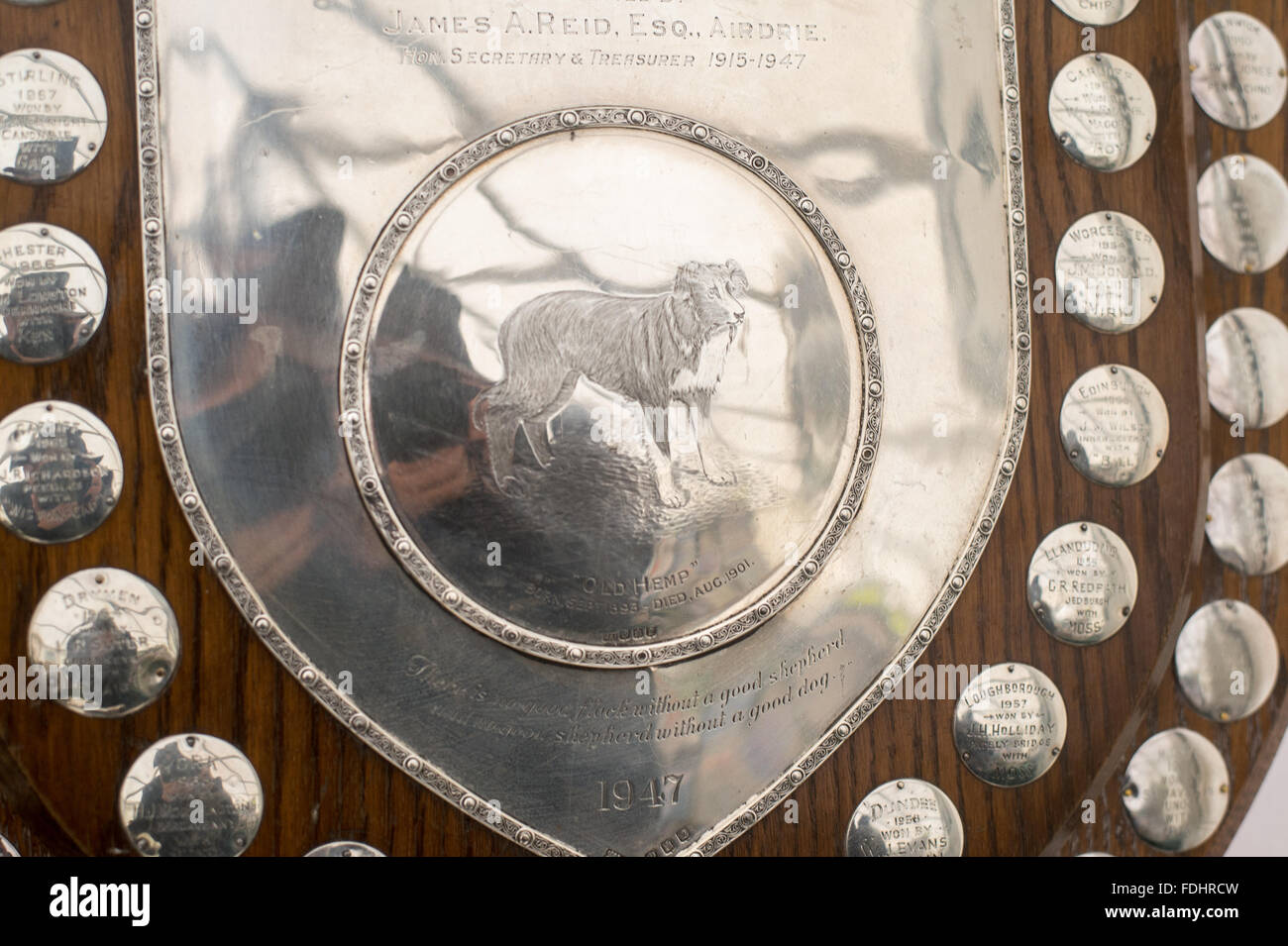 Trophées d'argent à l'International de berger à Moffat , Ecosse, Royaume-Uni. Banque D'Images