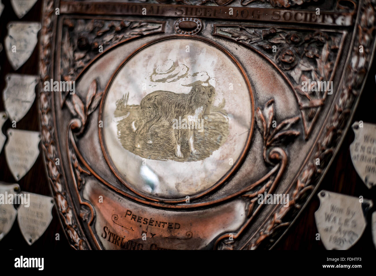 Trophées d'argent à l'International de berger à Moffat , Ecosse, Royaume-Uni. Banque D'Images