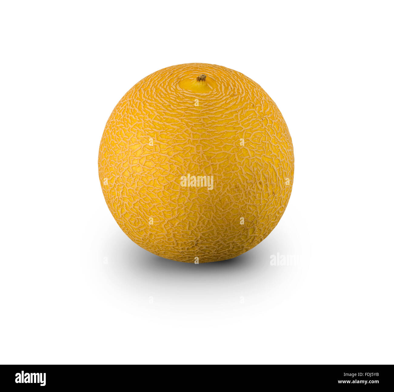 Melon biologique isolated on white Banque D'Images