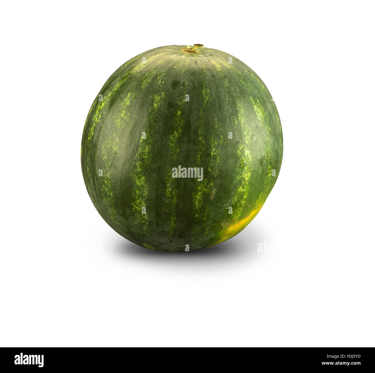 Melon biologique isolated on white Banque D'Images