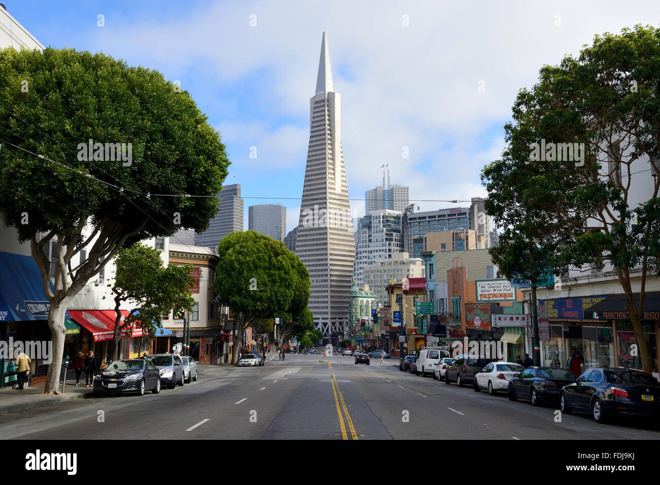 La Transamerica Pyramid à la fin de l'Avenue de Columbus dans le quartier des affaires de San Francisco, Californie, USA Banque D'Images