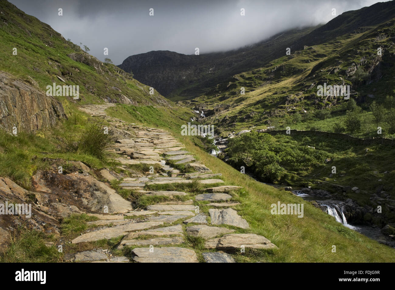 Le chemin jusqu'à la hausse Watkin mcg Llançà, avec Clogwyn Brith à gauche, sur Hafod Y Llançà ferme, Galles. Le chemin a été créé en 1892 par Sir Edward Watkin le tourisme dans la région a augmenté. Aujourd'hui, le chemin est l'un des six principaux itinéraires au sommet du Sn Banque D'Images