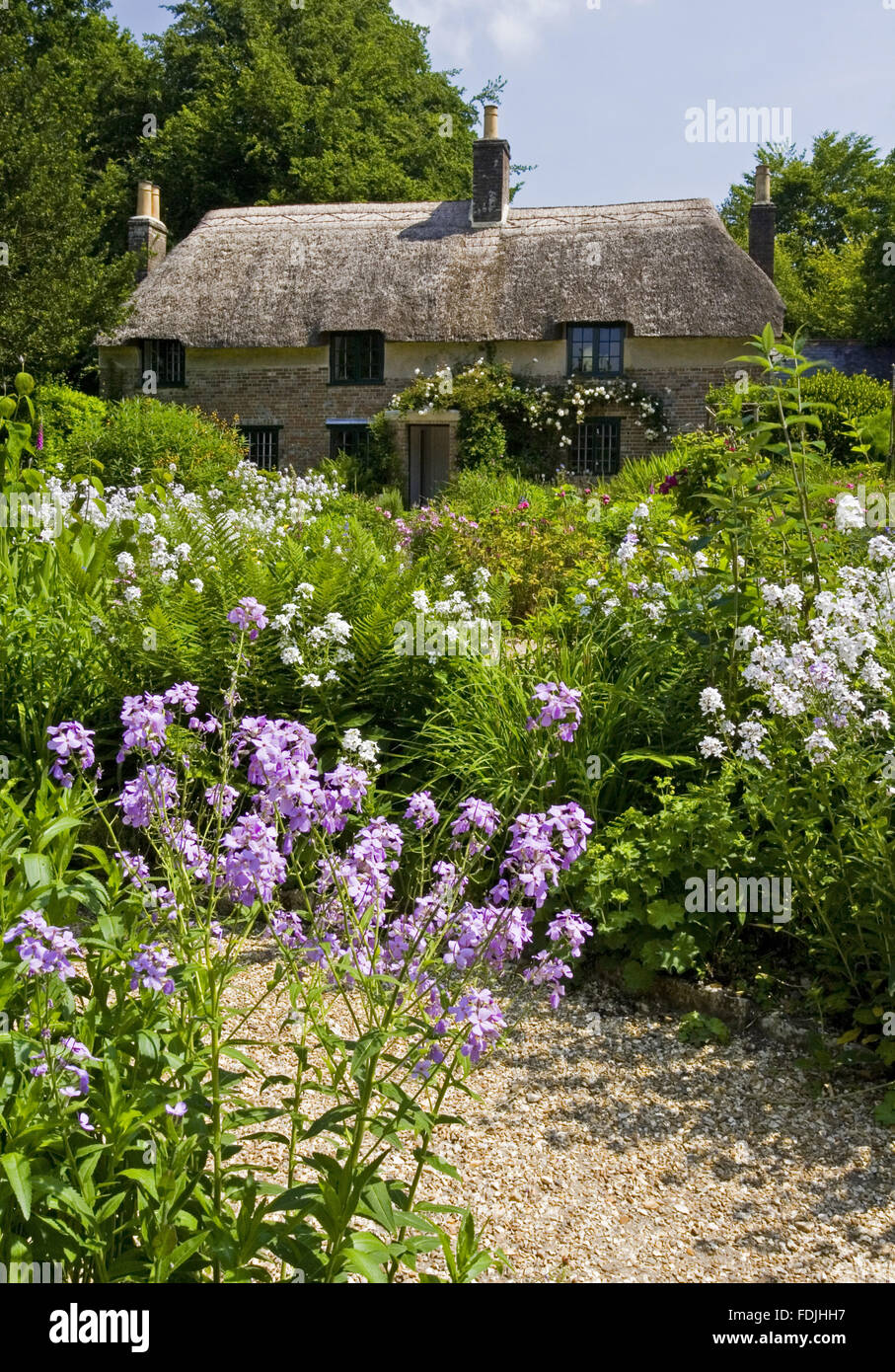 Hardy's Cottage, le lieu de naissance en 1840 de l'écrivain et poète Thomas Hardy , plus à George Sanders, près de Dorchester, Dorset. Banque D'Images