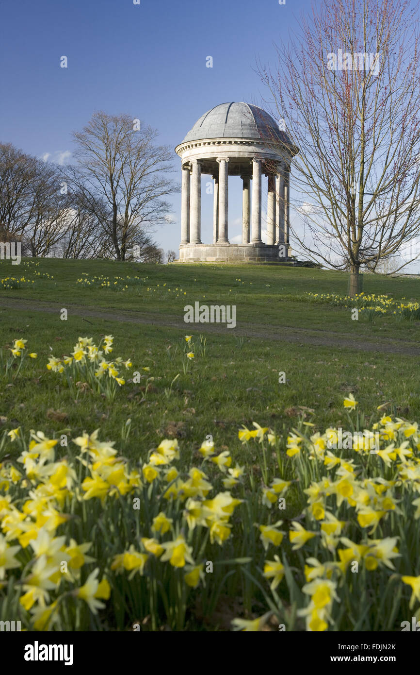 La rotonde construite en 1766, et des jonquilles dans le parc à Petworth House, West Sussex. La rotonde ionique peut avoir été conçu par Matthew Brettingham probablement inspiré par Vanbrugh's rotondes. Banque D'Images