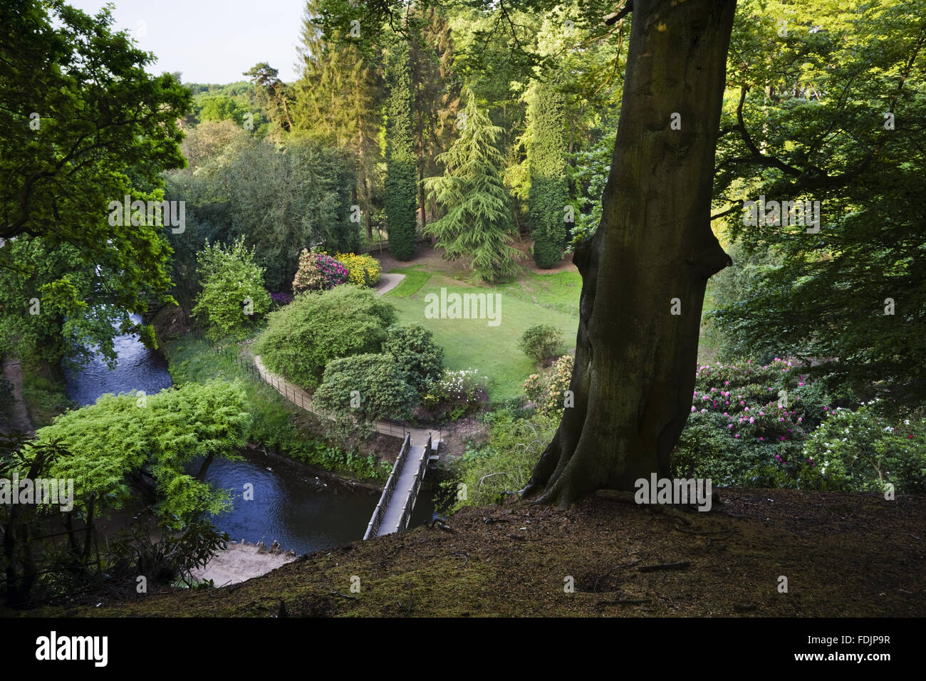 Vue depuis le hêtre sur le chemin d'en haut sur le jardin qui a été créé à la fin du xviiie siècle par Samuel Greg, le propriétaire de l'usine, et sa femme Hannah, pour compléter leur chambre. Le jardin suit la vallée de la rivière Bollin et fait partie de la Banque D'Images