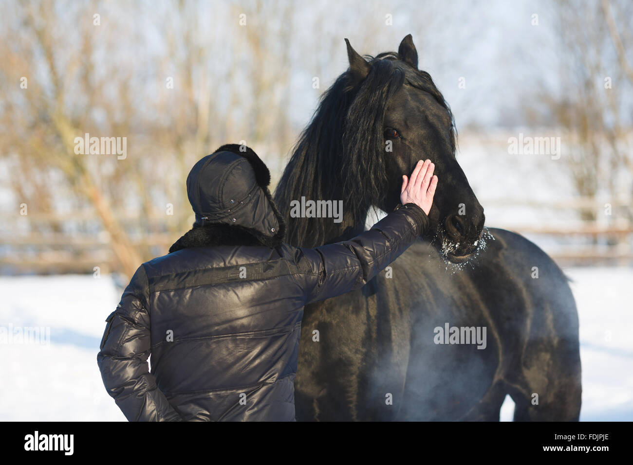 L'homme caresse la tête de cheval en hiver Banque D'Images