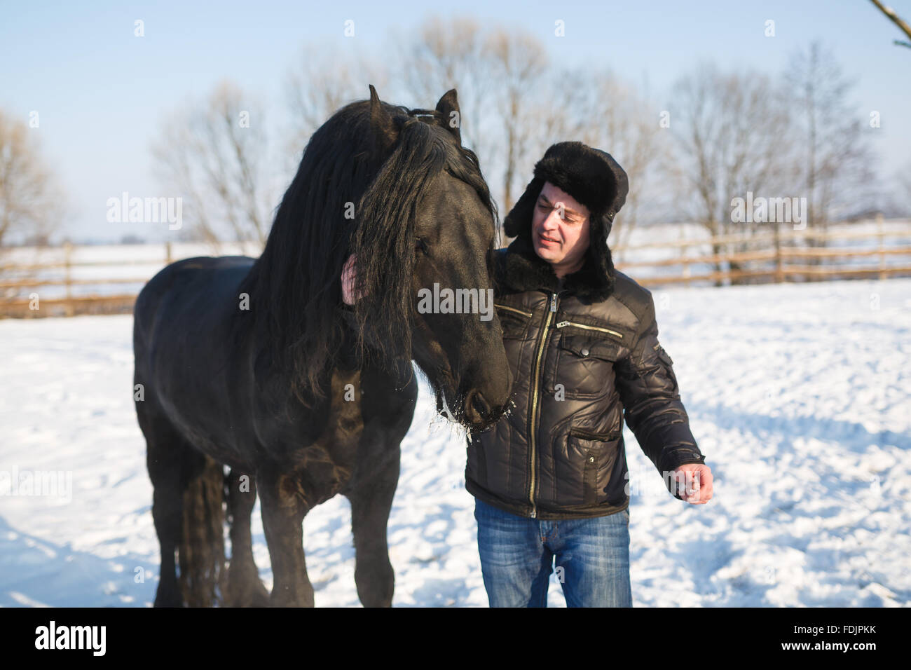 L'homme caresse la tête de cheval en hiver Banque D'Images