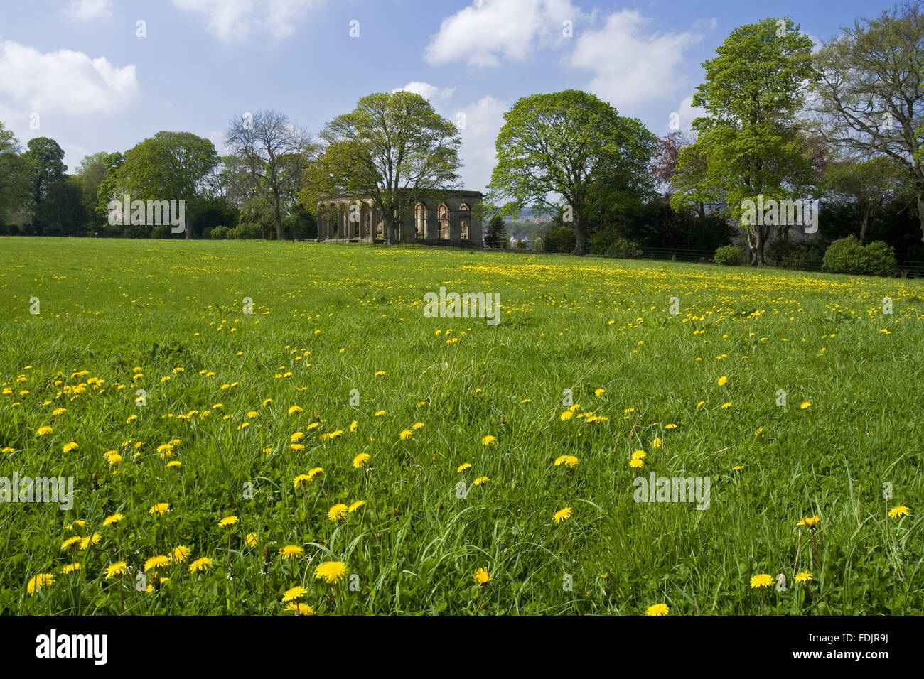 Vue sur une prairie de fleurs sauvages à l'Orangerie à The Green Lawns, Newcastle upon Tyne. George Bowes a hérité de la succession en 1722 et les motifs paysagers autour de Gibside Hall. Banque D'Images