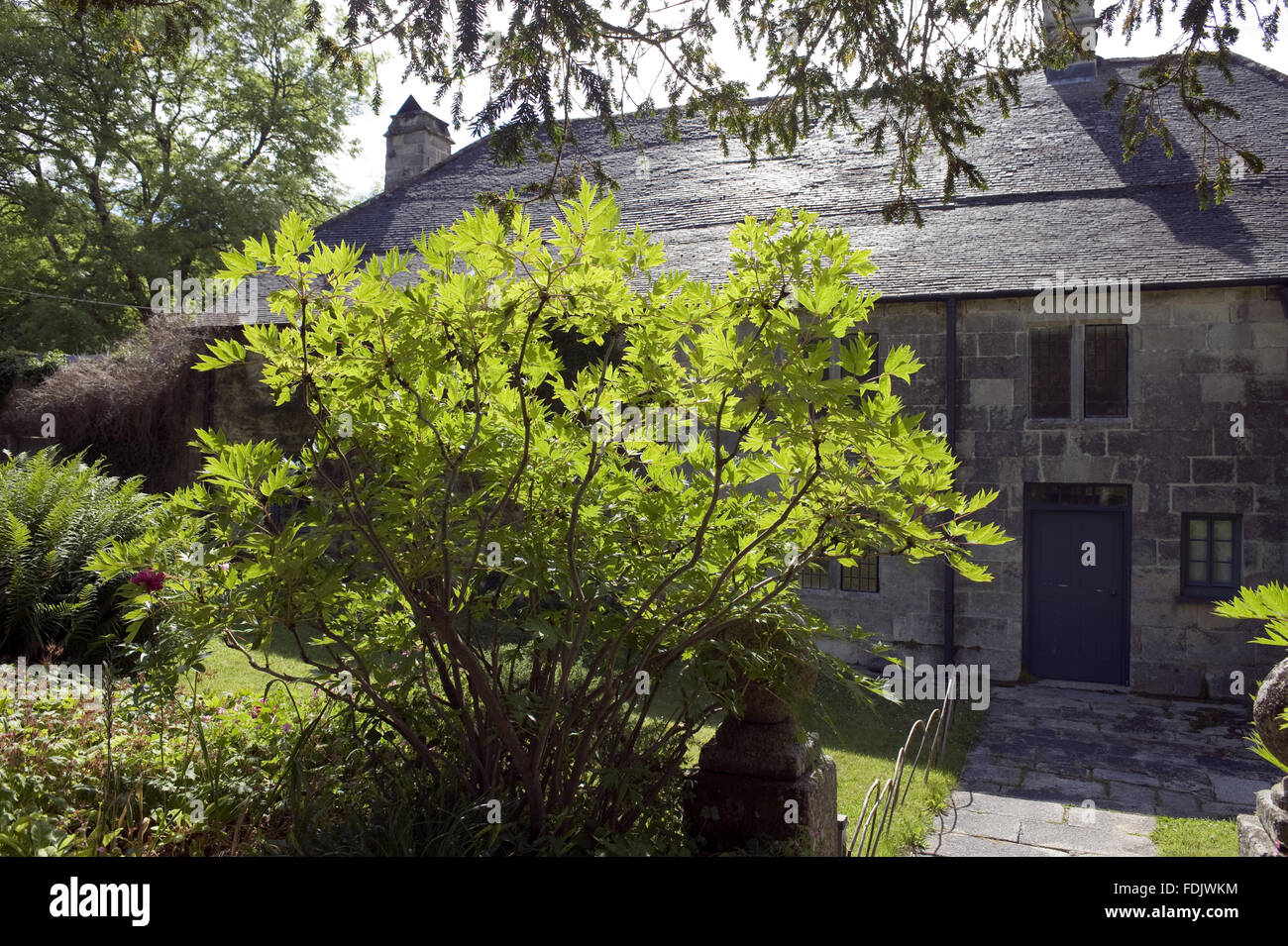 L'extrémité orientale de la dix-septième siècle à Godolphin, Cornwall. Banque D'Images