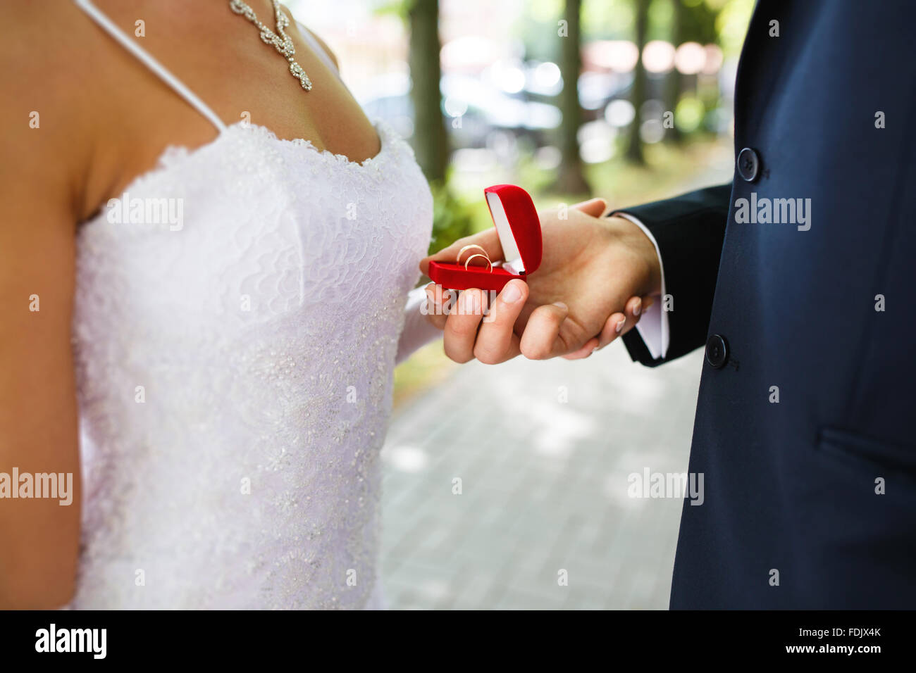 Les anneaux de mariage dans une main de l'époux et épouse Banque D'Images