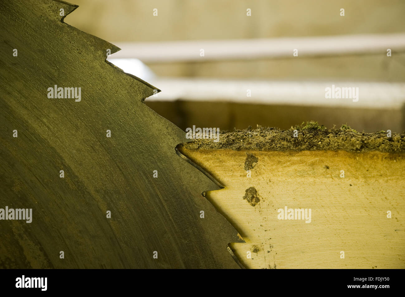 La roue dentée dans le xixe siècle scierie à Florence Court, Co. fermanagh, Irlande du Nord. Banque D'Images