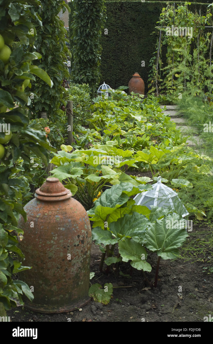 Des pots en terre cuite de forcer et de verre cloches dans le potager le jardin de style créé par Simon Sainsbury et Stewart Grimshaw à Woolbeding House, West Sussex. Banque D'Images