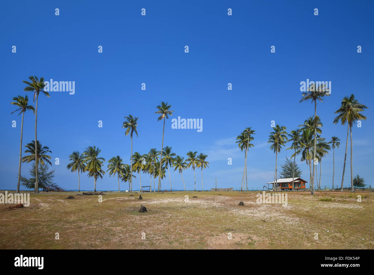 Cabane de plage et de palmiers sur la plage, Terengganu, Malaisie Banque D'Images