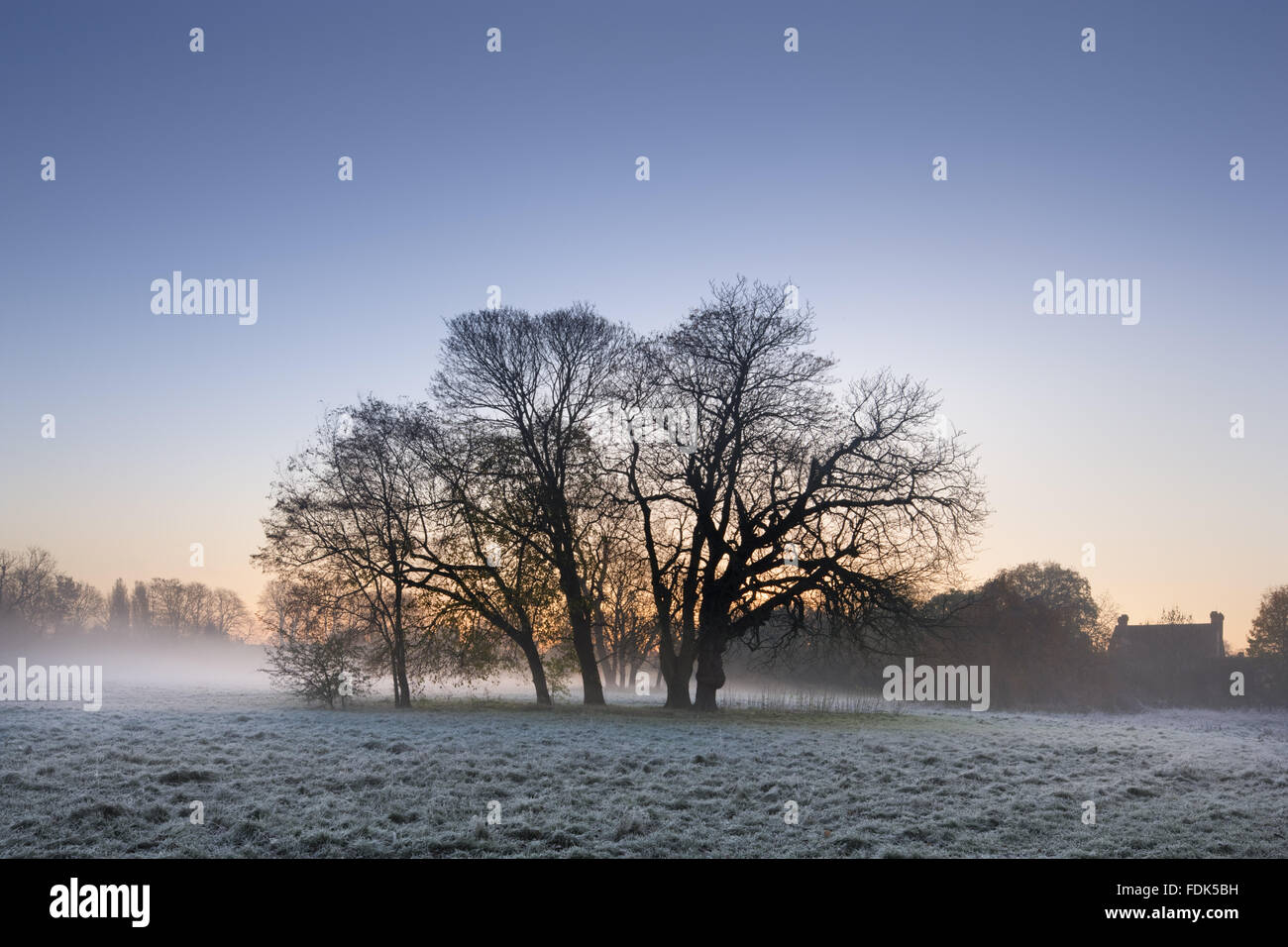 Un misty à Morden Hall Park, Londres. Banque D'Images