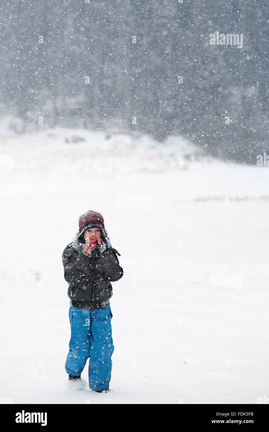 Garçon marchant à travers la forêt dans la neige Banque D'Images