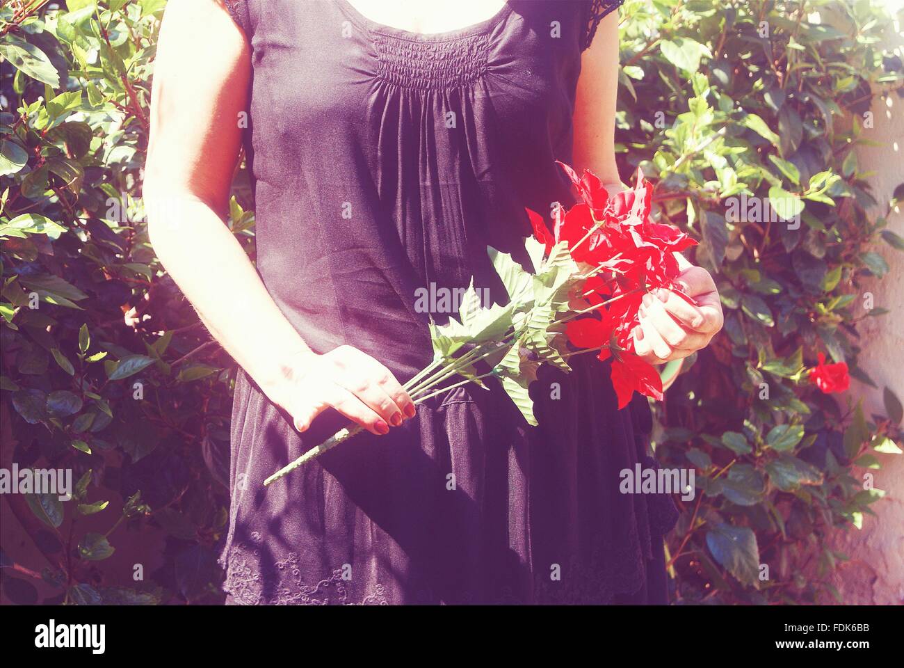 Woman holding Flowers Banque D'Images