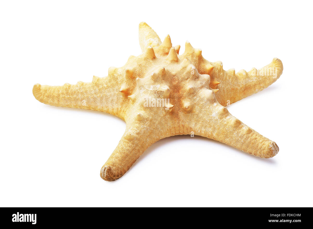 L'étoile jaune isolé sur fond blanc Banque D'Images