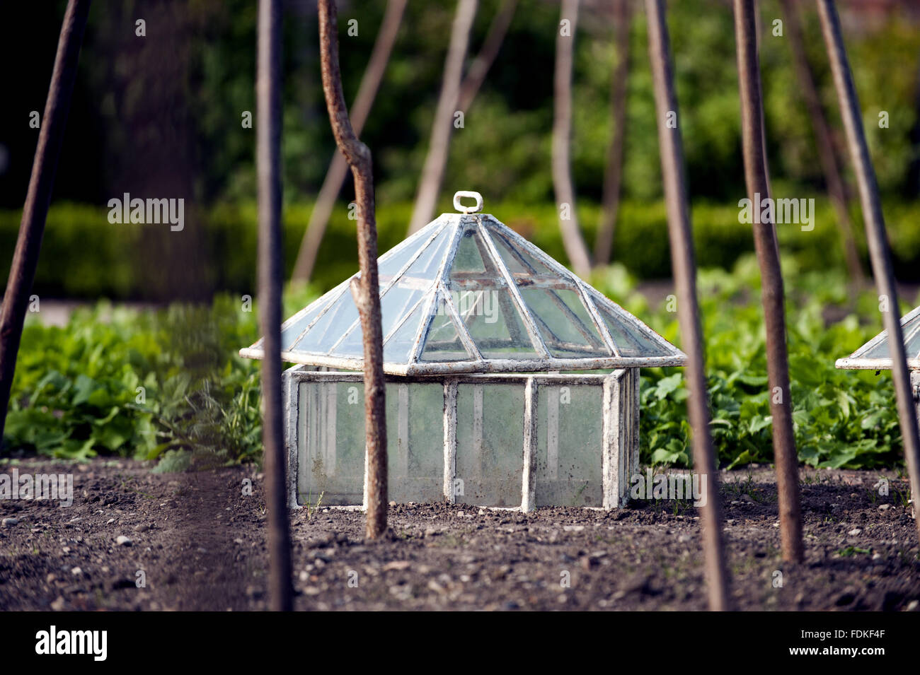 Glass garden cloche Banque de photographies et d'images à haute résolution  - Alamy