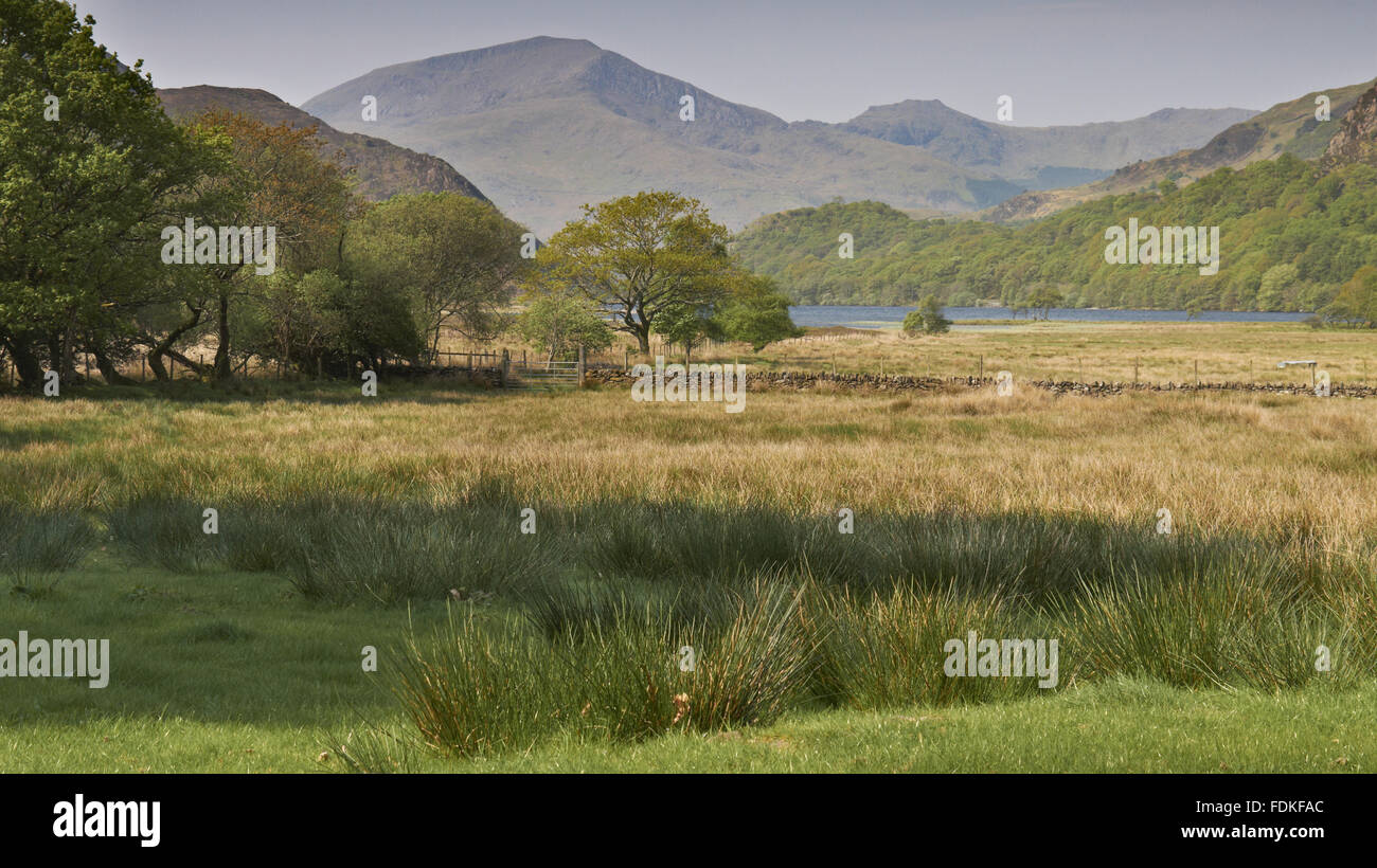 Llyndy la FIAS, un domaine de 600 acres dans la région de Snowdonia, dans la vallée de Nant Gwynant, Beddgelert Gwynedd, près de galles. Banque D'Images