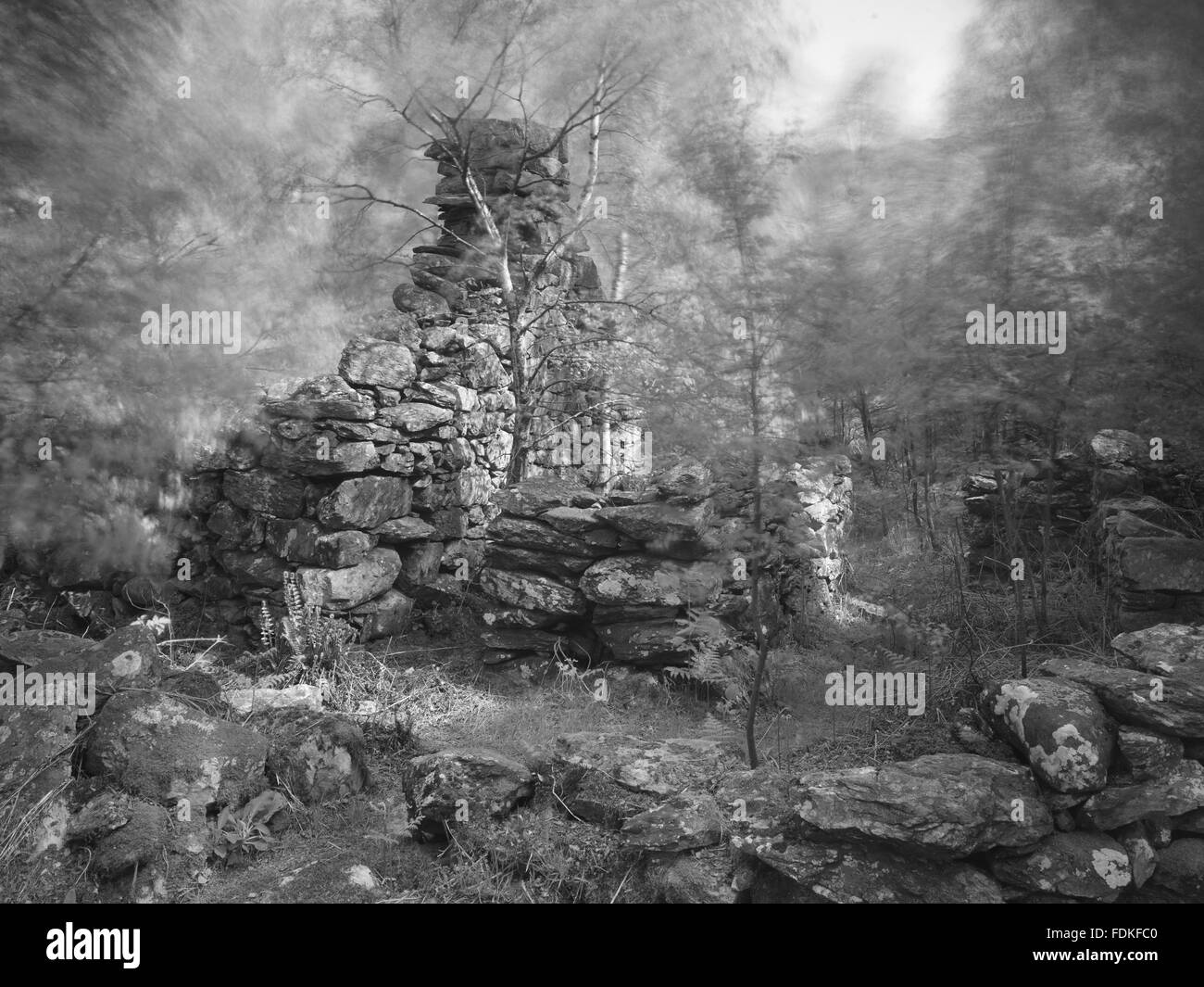 Une photographie en noir et blanc d'un bâtiment en ruine sur Llyndy la FIAS, un domaine de 600 acres dans la région de Snowdonia, dans la vallée de Nant Gwynant, Beddgelert Gwynedd, près de galles. Banque D'Images