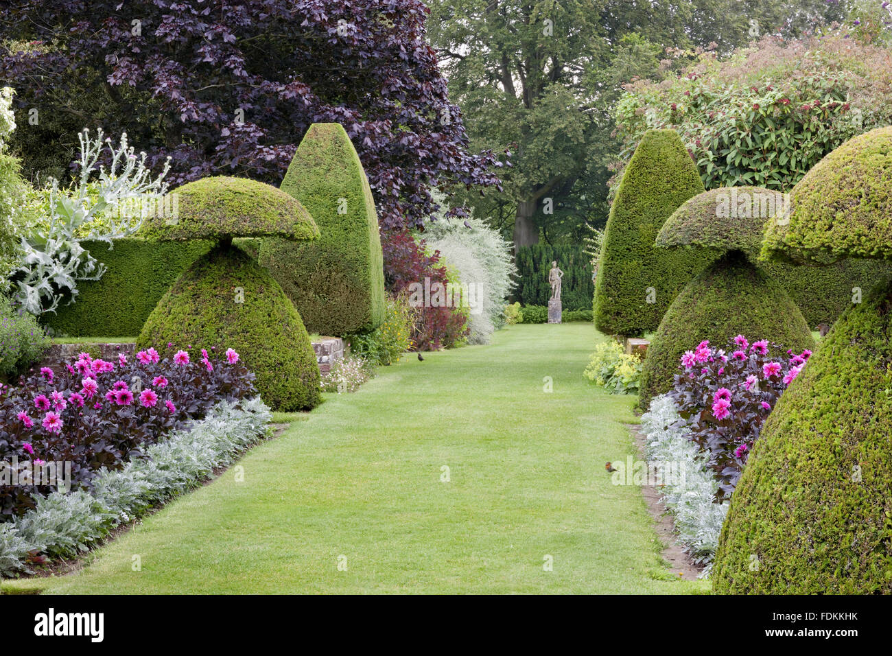 Dans l'art topiaire if jardin en contrebas avec la statue de Diana dans la distance en juillet à Hinton Ampner, Hampshire. Banque D'Images