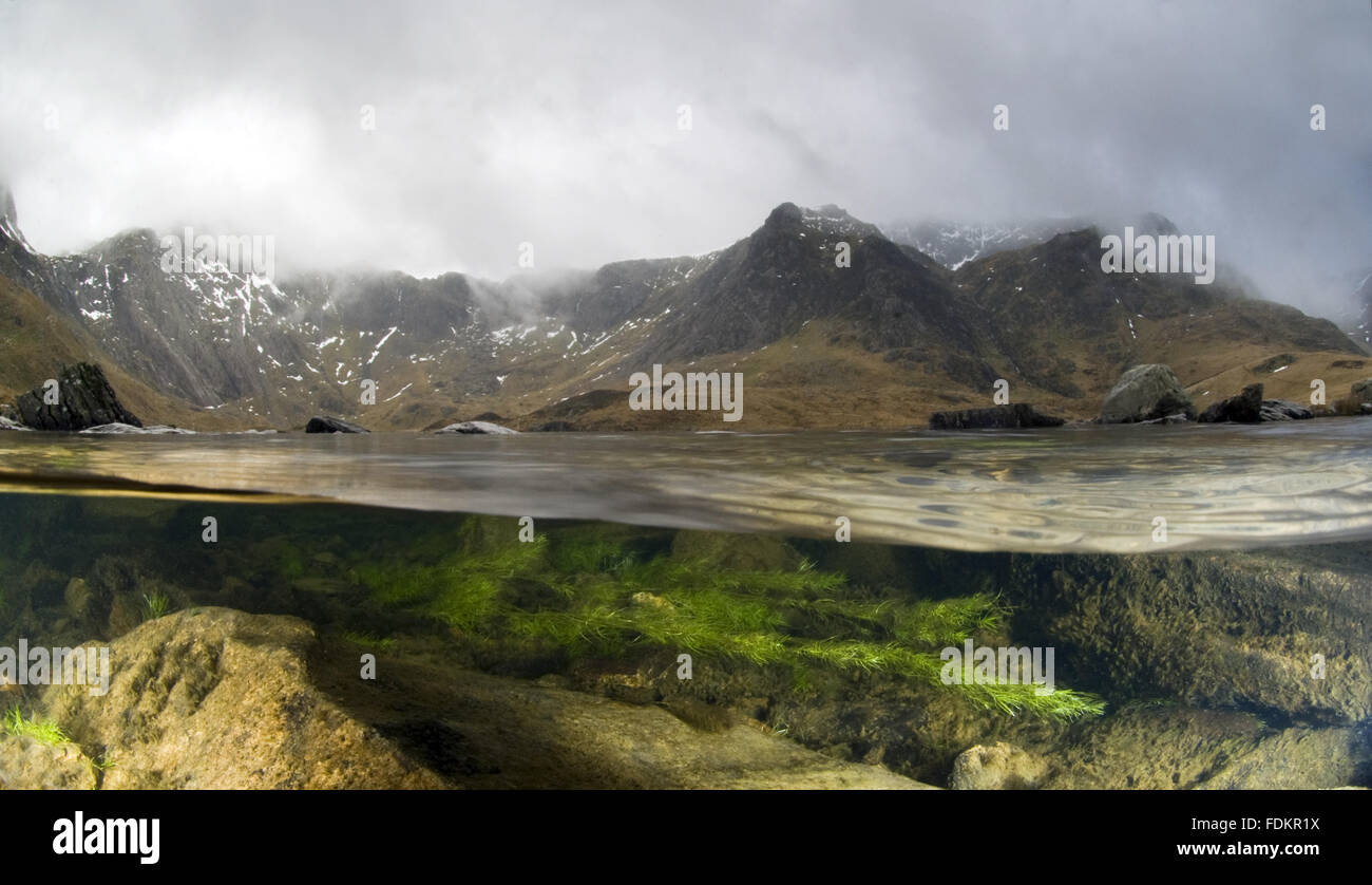 Un split-level image de MCG Idwal et le Devil's Kitchen, Galles, montrant l'habitat et les algues lacustres, en janvier. Banque D'Images