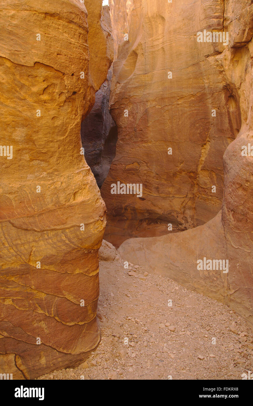 Slot Canyon aux grès coloré à Petra, Jordanie Banque D'Images