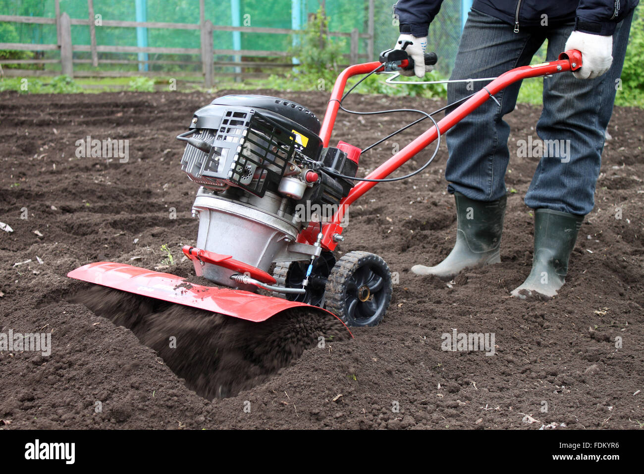 Homme travaillant dans le jardin Banque D'Images