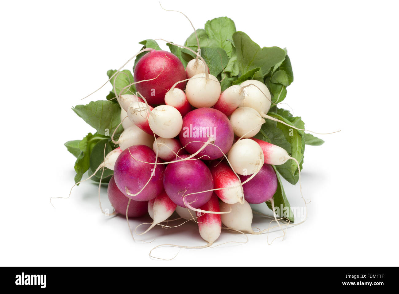 Variété de radis frais sur fond blanc Banque D'Images