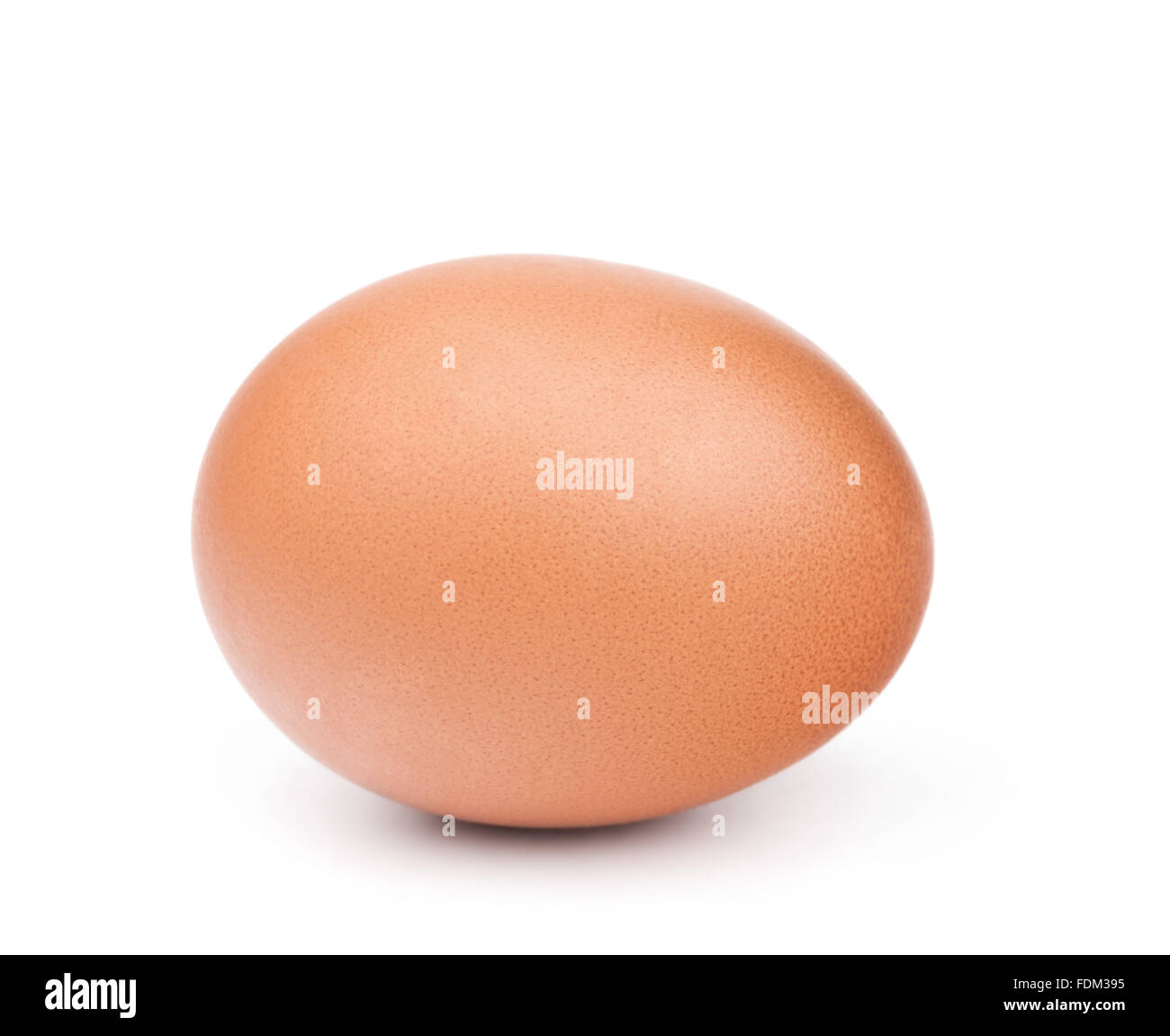 Brown egg isolated on white Banque D'Images