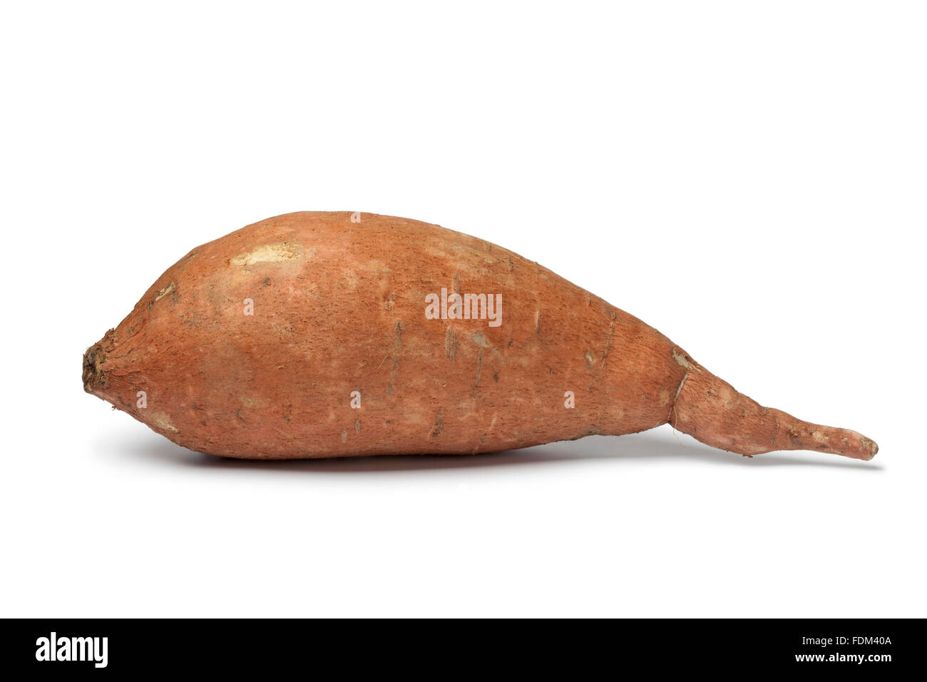 Patate douce simple sur fond blanc Banque D'Images