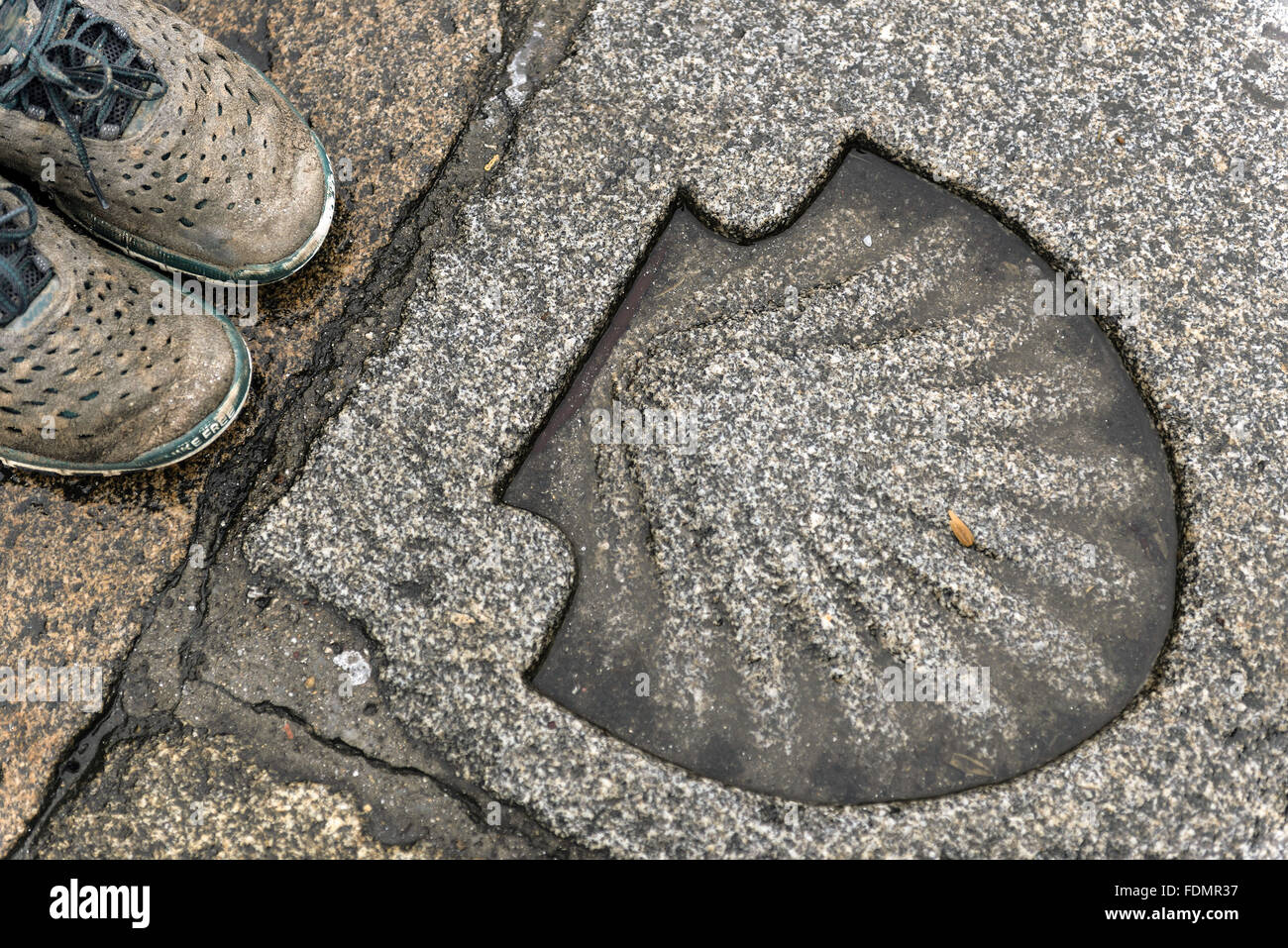 Vieira Shell symbole de Chemin de Saint Jacques de Compostelle Banque D'Images