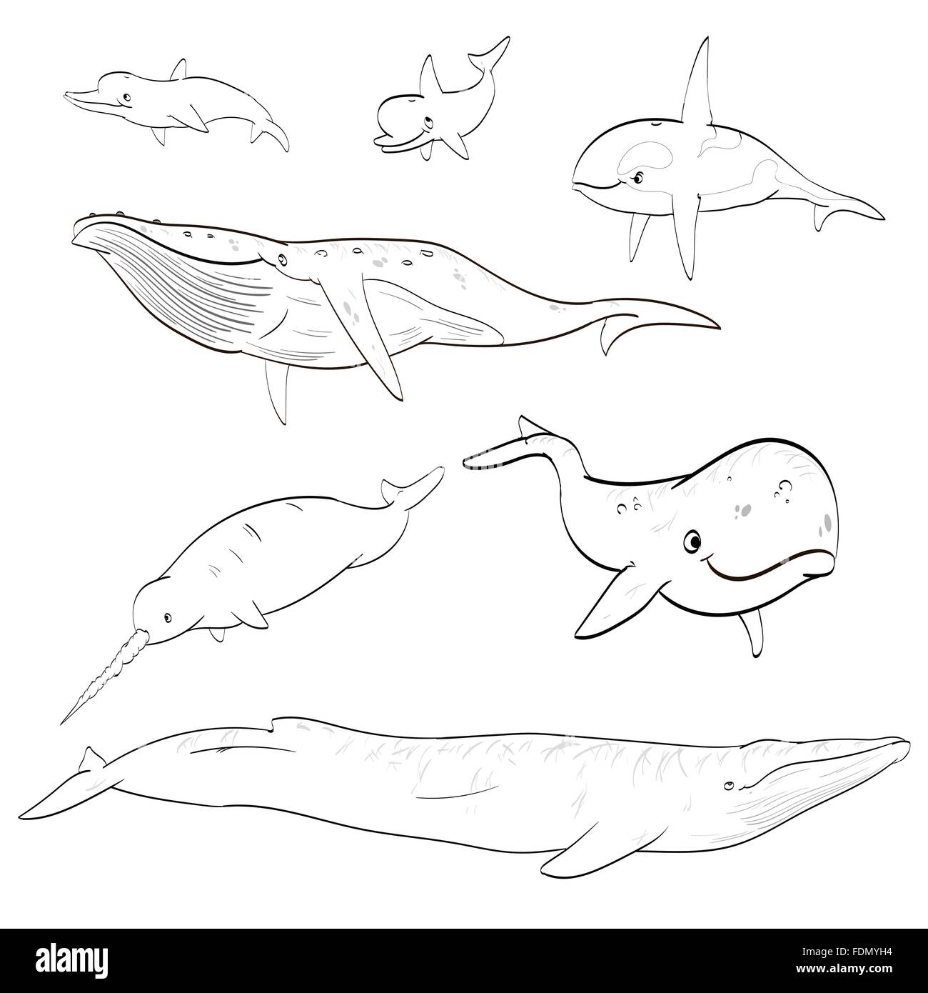 Jeu de ligne vectorielle illustration dessin de caricature les baleines et les dauphins. Illustration de Vecteur