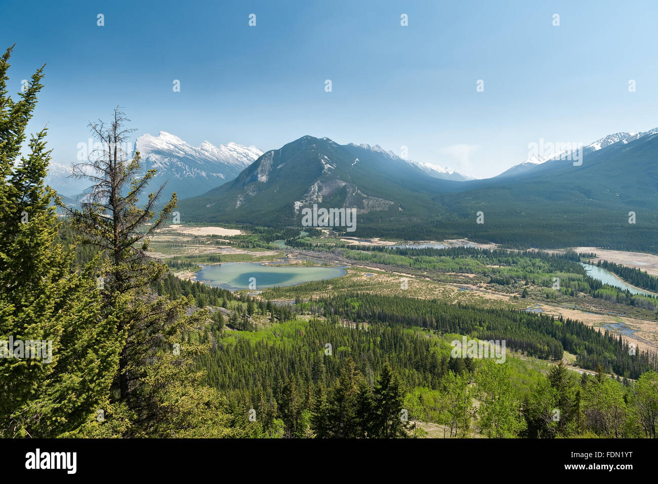 Des sentiers de randonnée col Cory avec vue sur la vallée de la Bow et de Mount Norquay, Banff National Park, Alberta, Canada Banque D'Images