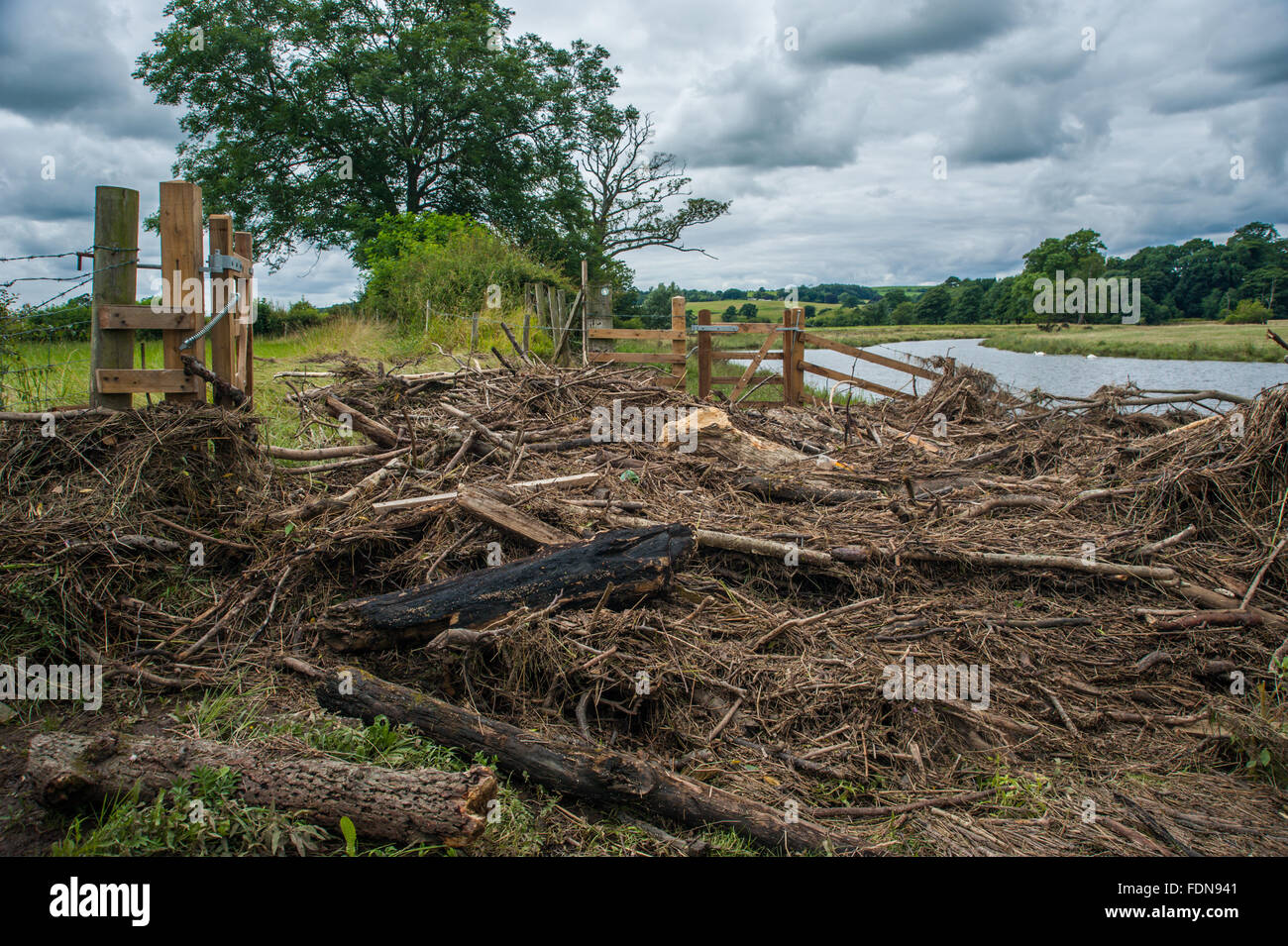Les détritus des inondations de bloquer un sentier le long de la rivière Lune près de Melling dans le Lancashire Banque D'Images