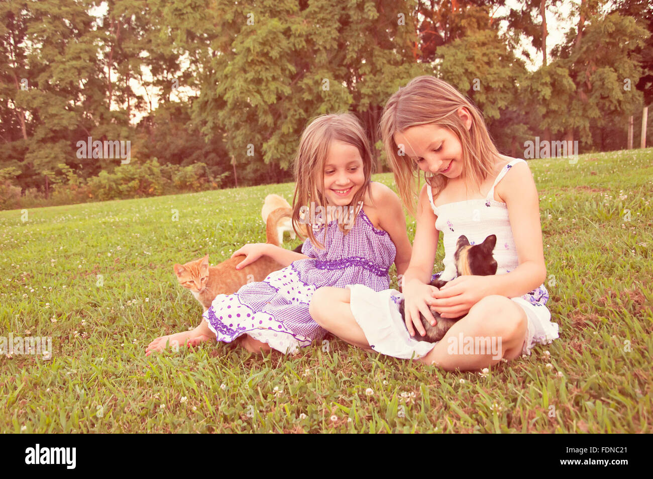 Deux petites filles avec des robes d'animaux et de chatons holding Banque D'Images