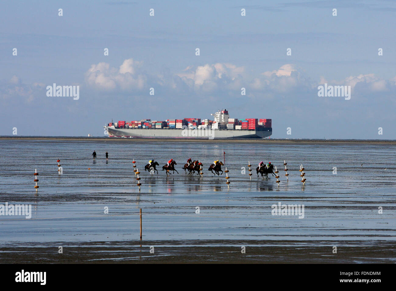 Cuxhaven, Allemagne, les chevaux et les jockeys à la permanence de l'Hinter Watt Banque D'Images
