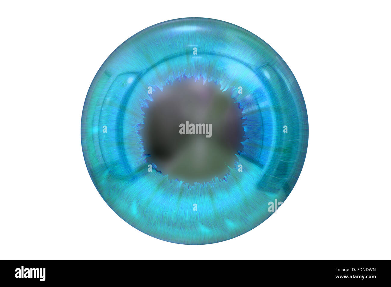 Oeil avec iris bleu isolé sur fond blanc Banque D'Images