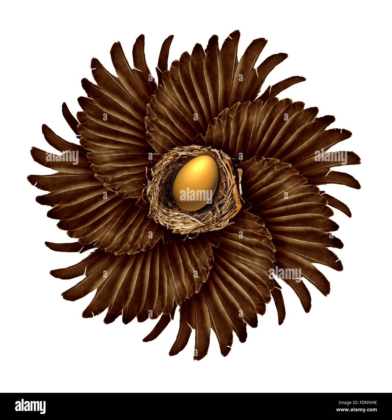 Concept de la vie et de la création comme un groupe d'ailes d'oiseaux en forme de fleur en fleur avec un magot d'or au milieu comme un succès métaphore de l'aide communautaire ou un réseau connecté la gestion de la sécurité financière. Banque D'Images