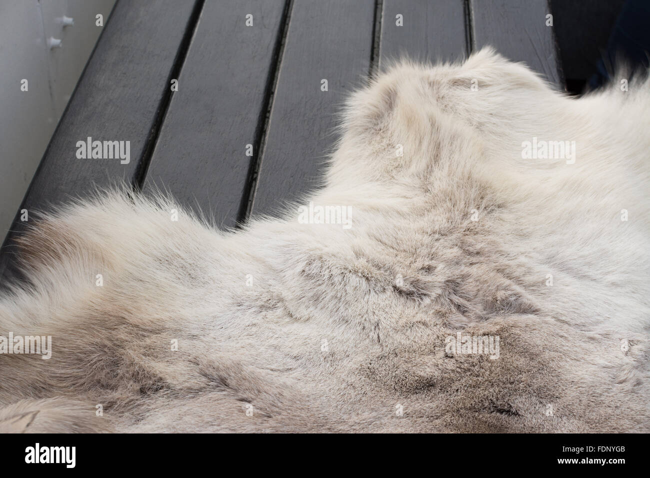 Close up de tapis de peau sur un banc sur un bateau de croisière d'hiver, Stockholm, Suède Banque D'Images