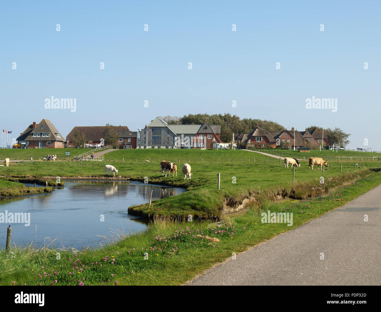 Hallig hooge, hanswarft Banque D'Images