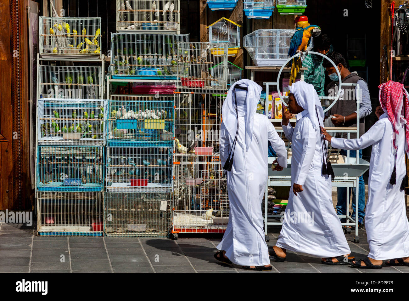 Les garçons au marché aux oiseaux, le Souk Waqif, Doha, Qatar Banque D'Images