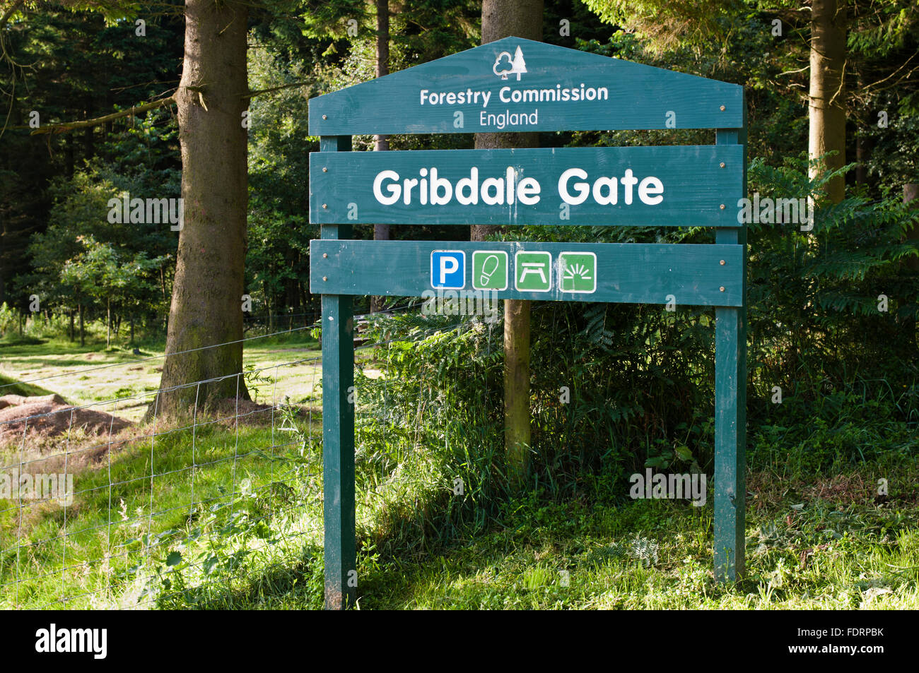 Commission des forêts signe en Gribdale Gate, une randonnée pédestre, randonnée à vélo et pique-nique près de Great Ayton, North York Moors Banque D'Images