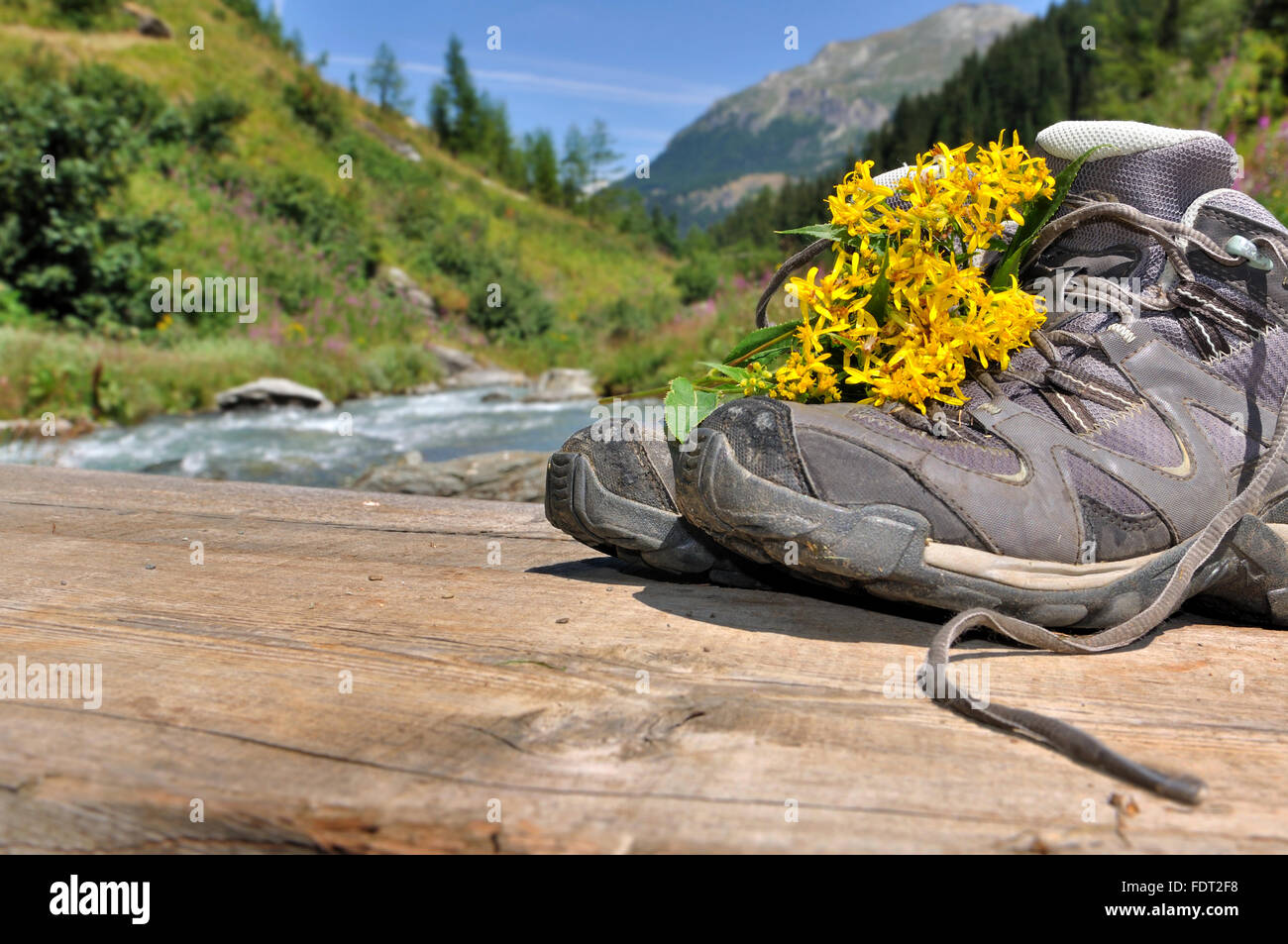 Bouquet de fleurs sur des chaussures de randonnée sur planche de bois paysage alpin d'arrière-plan Banque D'Images